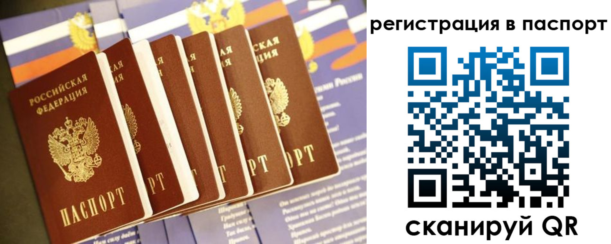 прописка ребенка в Гвардейске